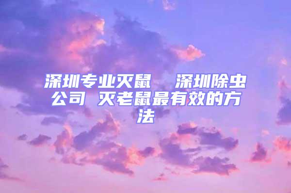 深圳專業(yè)滅鼠  深圳除蟲公司 滅老鼠最有效的方法