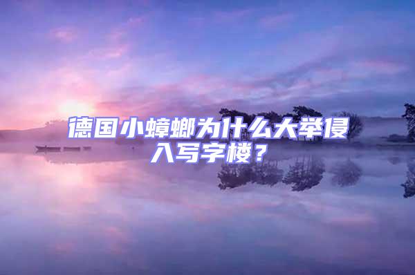 德國小蟑螂為什么大舉侵入寫字樓？