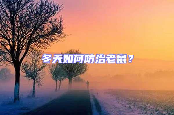 冬天如何防治老鼠？
