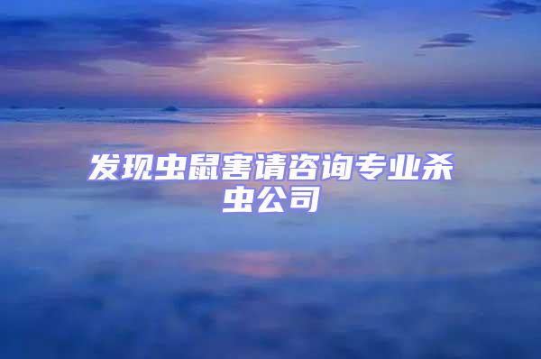 發現蟲鼠害請咨詢專業殺蟲公司