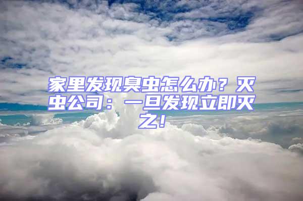 家里發現臭蟲怎么辦？滅蟲公司：一旦發現立即滅之！
