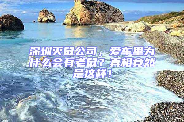 深圳滅鼠公司，愛車?yán)餅槭裁磿欣鲜螅空嫦嗑谷皇沁@樣！