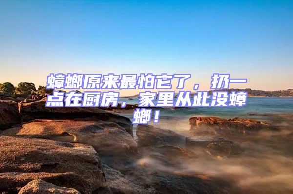 蟑螂原來(lái)最怕它了，扔一點(diǎn)在廚房，家里從此沒(méi)蟑螂！