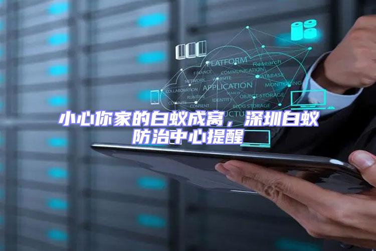 小心你家的白蟻成窩，深圳白蟻防治中心提醒