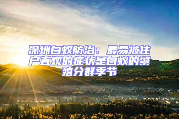 深圳白蟻防治：最易被住戶直觀的癥狀是白蟻的繁殖分群季節