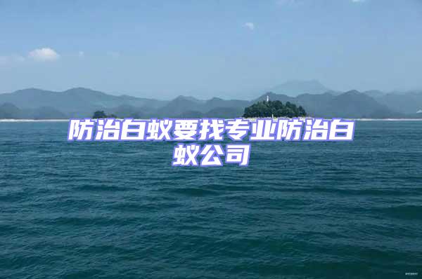 防治白蟻要找專業防治白蟻公司
