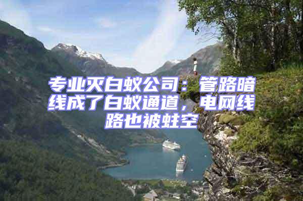 專業滅白蟻公司：管路暗線成了白蟻通道，電網線路也被蛀空