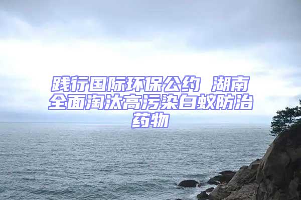踐行國際環保公約 湖南全面淘汰高污染白蟻防治藥物