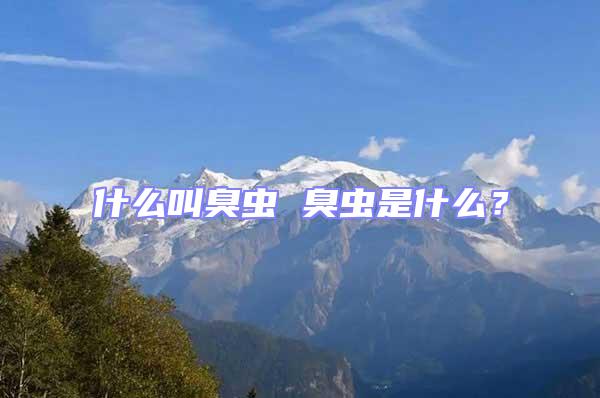 什么叫臭蟲 臭蟲是什么？
