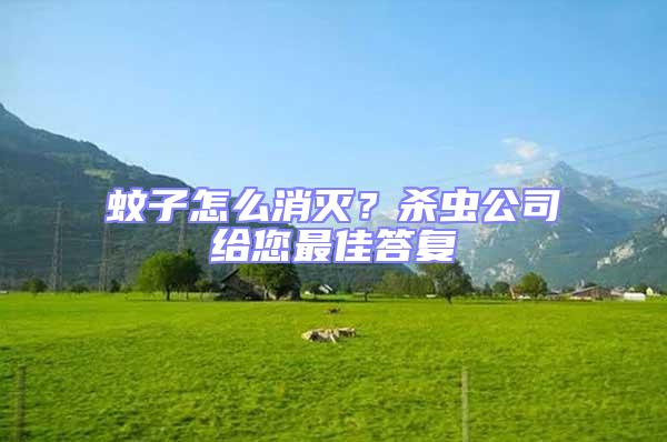蚊子怎么消滅？殺蟲公司給您最佳答復(fù)