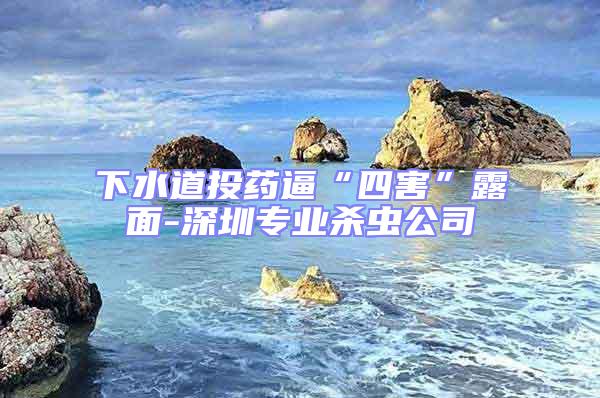 下水道投藥逼“四害”露面-深圳專業殺蟲公司