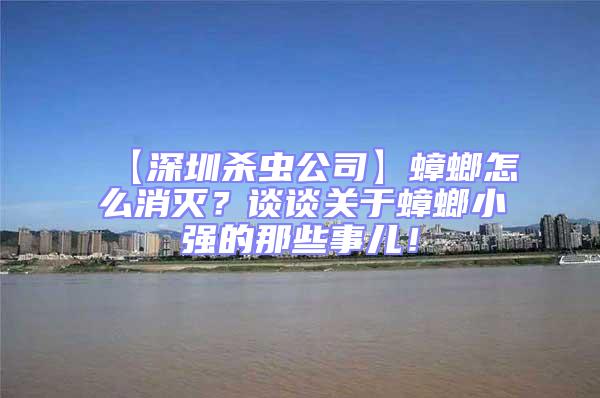 【深圳殺蟲公司】蟑螂怎么消滅？談談關于蟑螂小強的那些事兒！