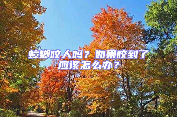 蟑螂咬人嗎？如果咬到了應(yīng)該怎么辦？
