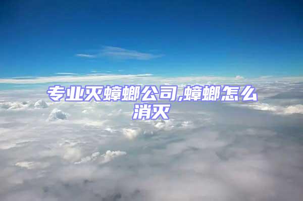 專業(yè)滅蟑螂公司,蟑螂怎么消滅