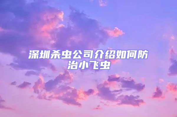 深圳殺蟲公司介紹如何防治小飛蟲