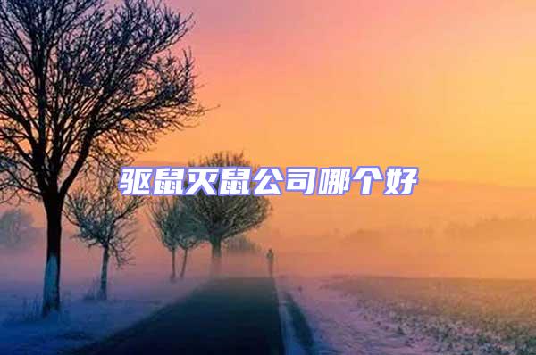 驅(qū)鼠滅鼠公司哪個(gè)好