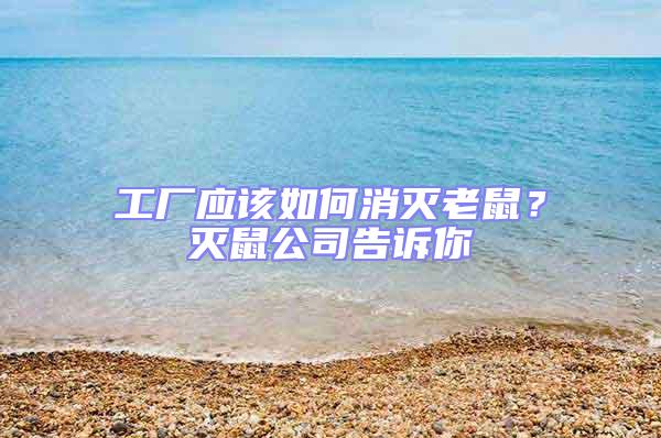 工廠應該如何消滅老鼠？滅鼠公司告訴你