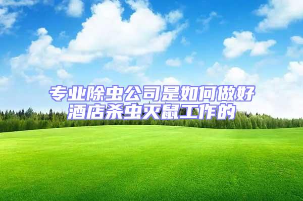 專業(yè)除蟲公司是如何做好酒店殺蟲滅鼠工作的