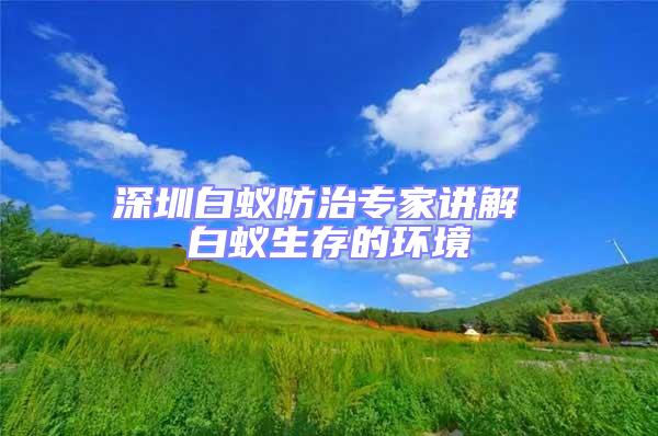 深圳白蟻防治專(zhuān)家講解 白蟻生存的環(huán)境