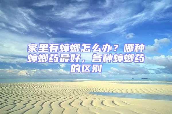 家里有蟑螂怎么辦？哪種蟑螂藥最好，各種蟑螂藥的區別