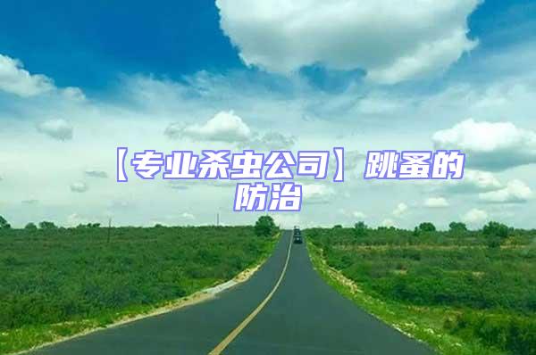 【專業(yè)殺蟲公司】跳蚤的防治