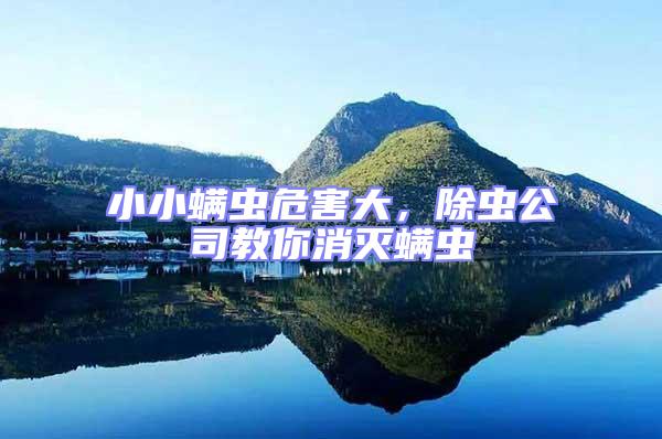 小小螨蟲危害大，除蟲公司教你消滅螨蟲