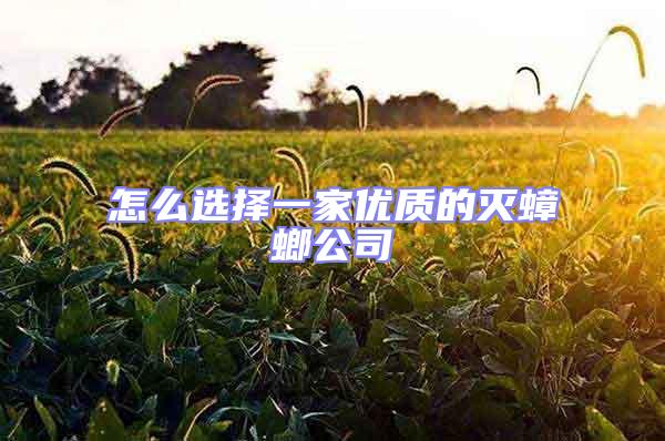 怎么選擇一家優(yōu)質(zhì)的滅蟑螂公司
