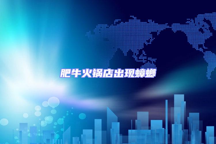肥牛火鍋店出現(xiàn)蟑螂