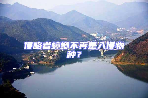 侵略者蟑螂不再是入侵物種？