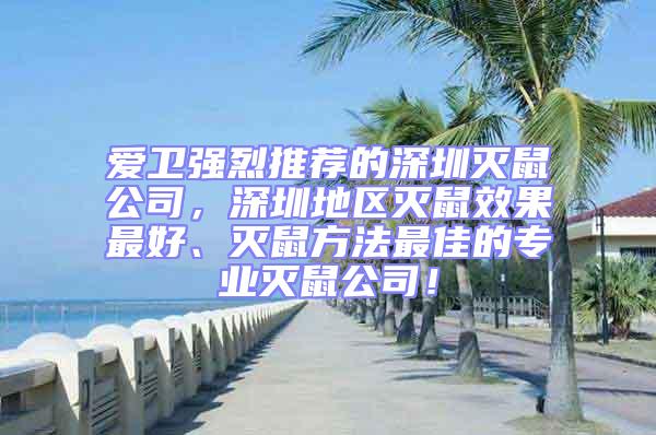 愛衛(wèi)強(qiáng)烈推薦的深圳滅鼠公司，深圳地區(qū)滅鼠效果最好、滅鼠方法最佳的專業(yè)滅鼠公司！