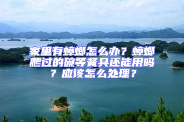 家里有蟑螂怎么辦？蟑螂爬過的碗等餐具還能用嗎？應該怎么處理？