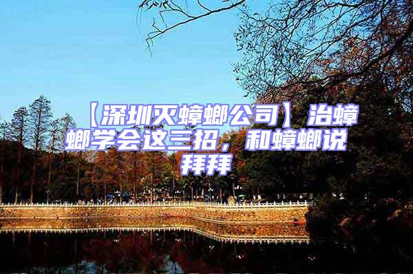 【深圳滅蟑螂公司】治蟑螂學(xué)會這三招，和蟑螂說拜拜