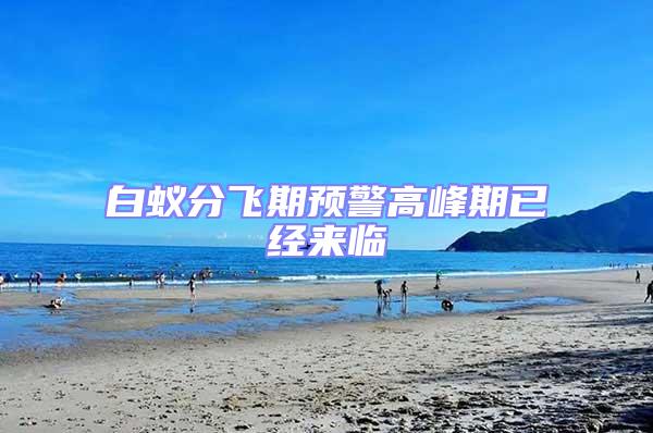 白蟻分飛期預警高峰期已經來臨