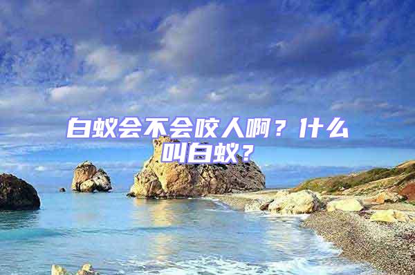 白蟻會不會咬人啊？什么叫白蟻？