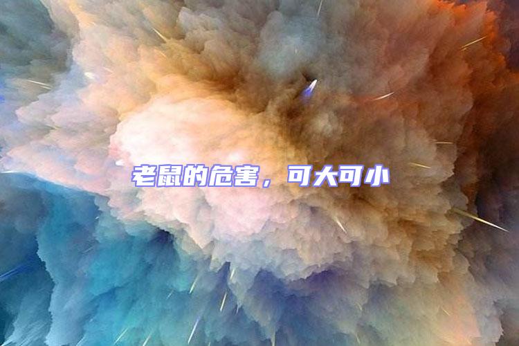 老鼠的危害，可大可小