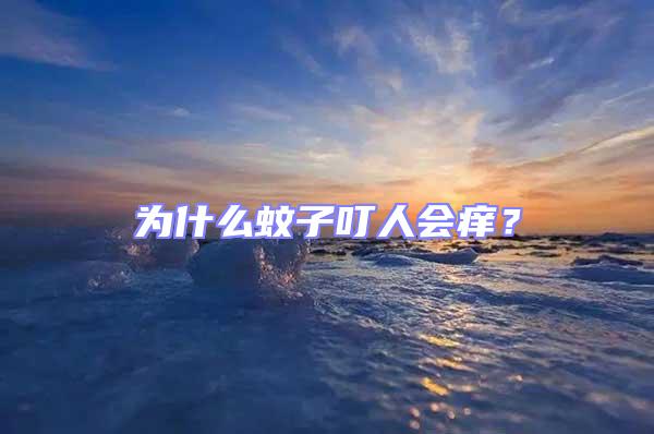 為什么蚊子叮人會癢？