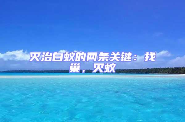 滅治白蟻的兩條關(guān)鍵：找巢，滅蟻