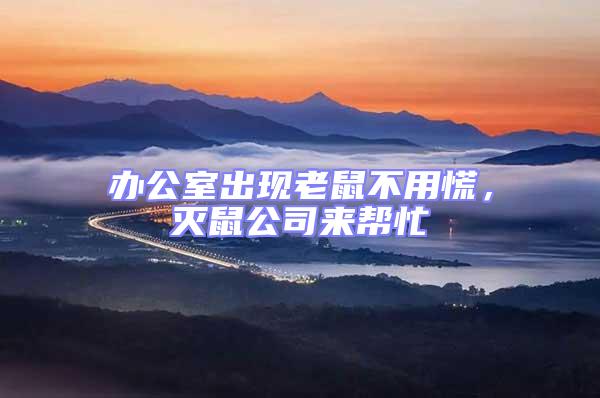 辦公室出現老鼠不用慌，滅鼠公司來幫忙