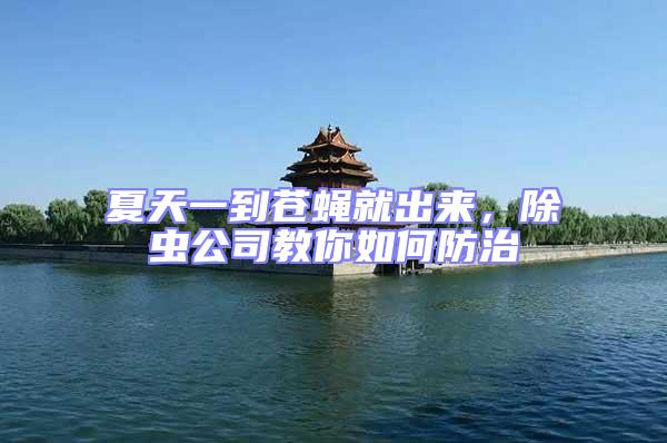 夏天一到蒼蠅就出來，除蟲公司教你如何防治