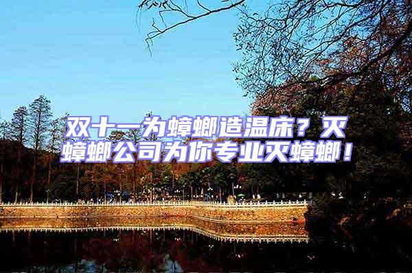 雙十一為蟑螂造溫床？滅蟑螂公司為你專(zhuān)業(yè)滅蟑螂！