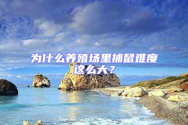 為什么養殖場里捕鼠難度這么大？