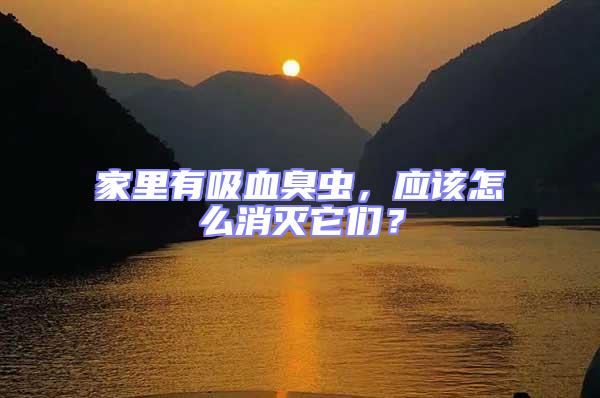 家里有吸血臭蟲，應(yīng)該怎么消滅它們？