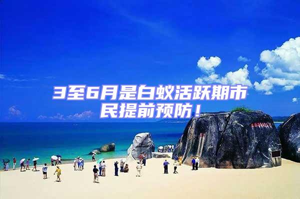 3至6月是白蟻活躍期市民提前預(yù)防！