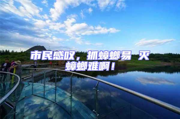 市民感嘆，抓蟑螂易 滅蟑螂難啊！