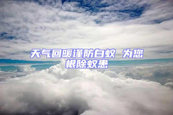 天氣回暖謹(jǐn)防白蟻 為您根除蟻患