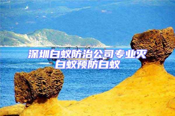 深圳白蟻防治公司專業滅白蟻預防白蟻