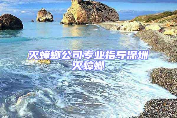 滅蟑螂公司專業(yè)指導(dǎo)深圳滅蟑螂