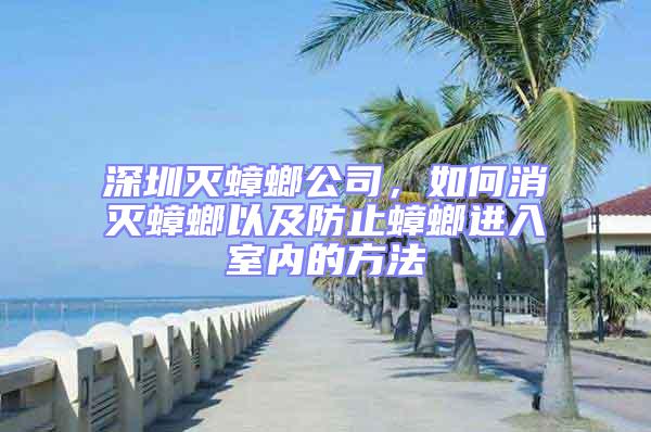 深圳滅蟑螂公司，如何消滅蟑螂以及防止蟑螂進入室內(nèi)的方法