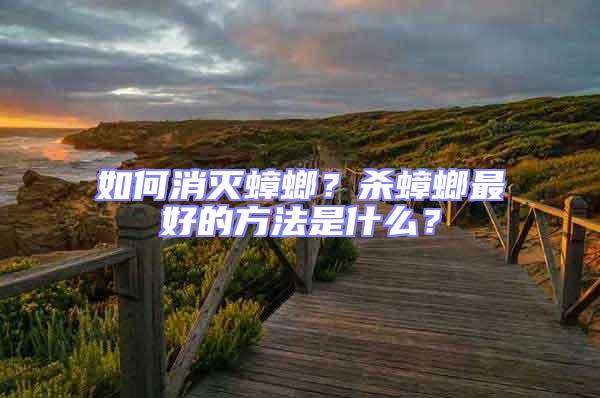 如何消滅蟑螂？殺蟑螂最好的方法是什么？