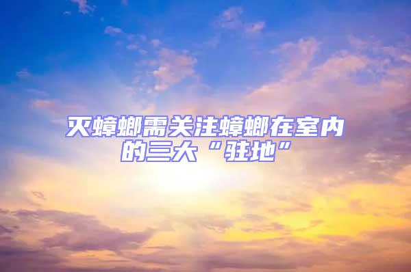 滅蟑螂需關(guān)注蟑螂在室內(nèi)的三大“駐地”